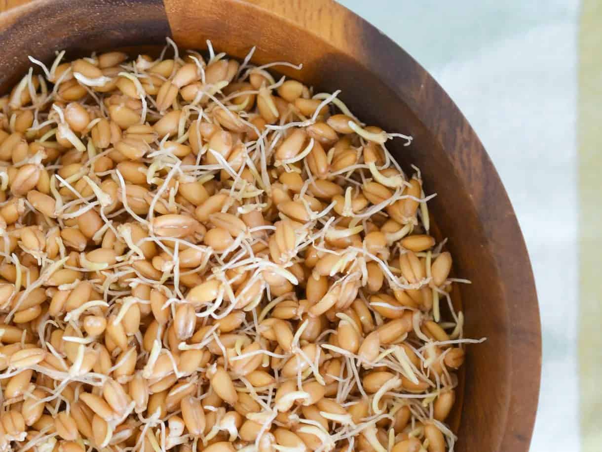Cooking Demo – Sprouting Grains & Legumes