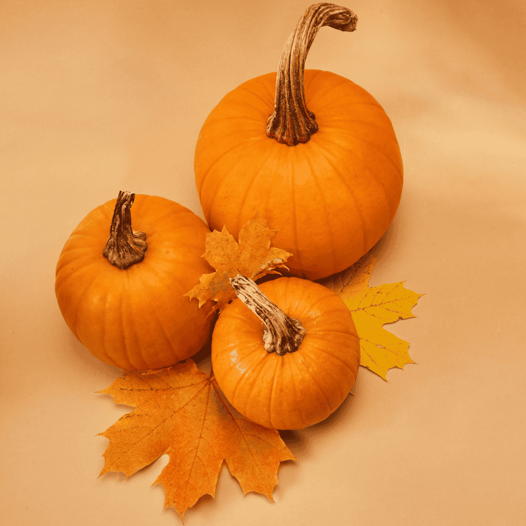 In-Person: Cooking Demo – All About Pumpkins (Victoria)